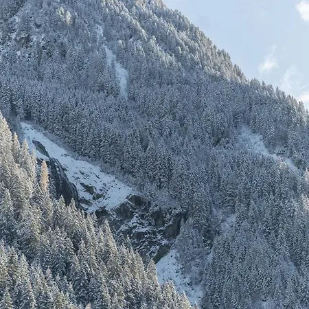 Haus Gleinser - * ノイシュティフト・イム・シュトゥーバイタール