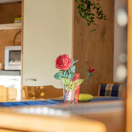 Haus Gleinser - アパート