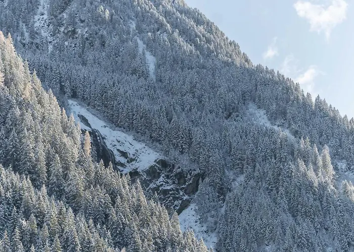 Haus Gleinser - * Neustift im Stubaital