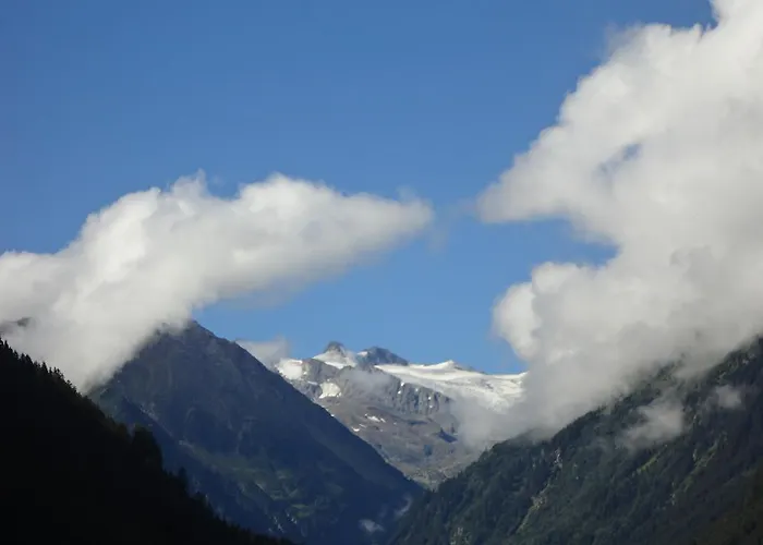 Apartment Haus Gleinser - *